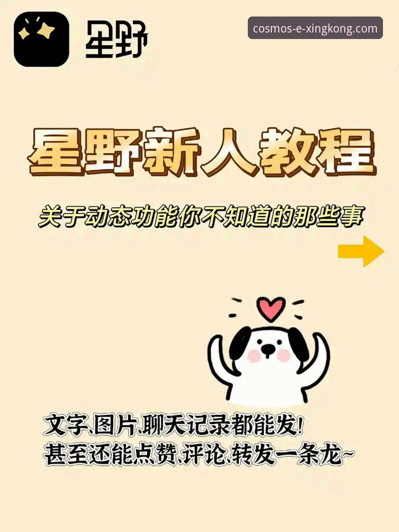 星空入口平台iOS客户端完整使用指南：从下载到高效体验的全面攻略